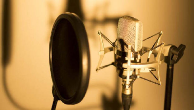 Steps To A Long, Strong, Successful Voice-Over Career
